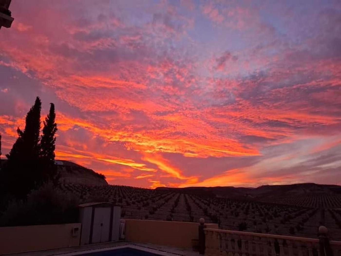 Antas Private Villa Large Pool Elevated Quiet Secluded Location, Near Mojacar מראה חיצוני תמונה